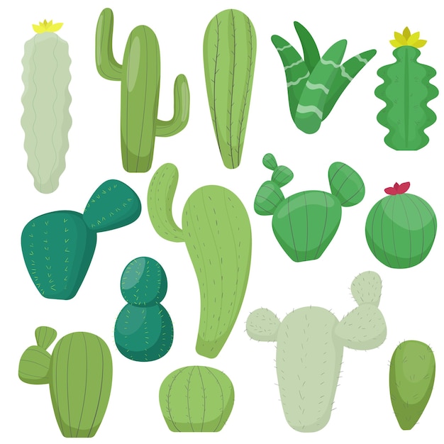 Vector gratuito colección de cactus conjunto de vectores