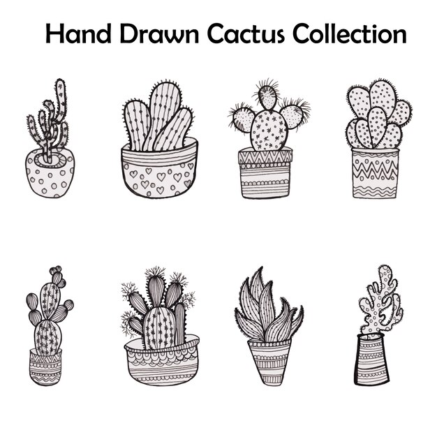 Vector gratuito colección de cactus dibujados a mano