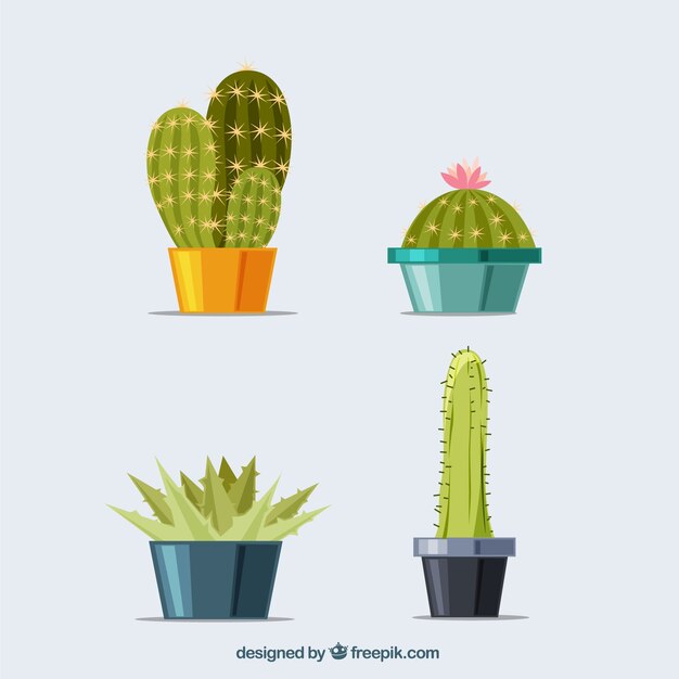 Colección de cactus dibujados a mano