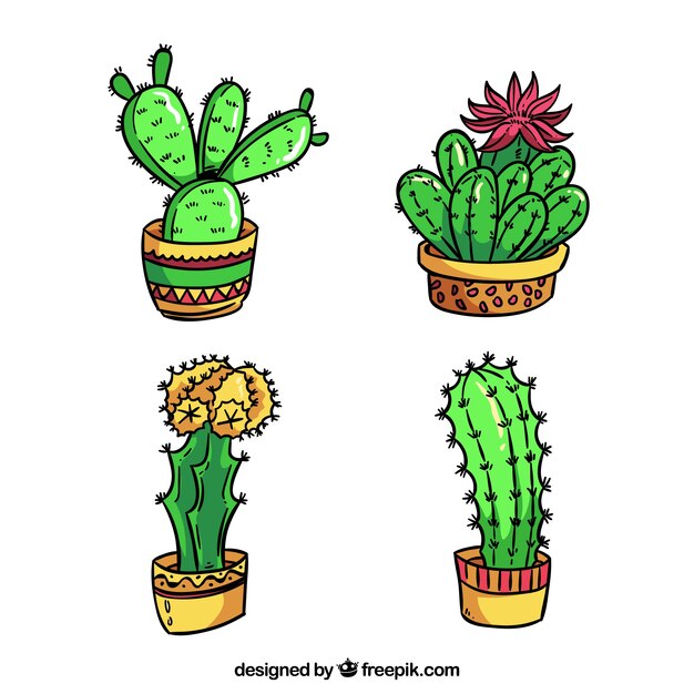 Colección de cactus de dibujados a mano