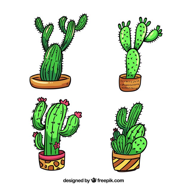 Colección de cactus de dibujados a mano