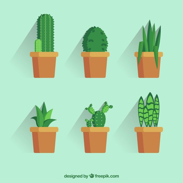 Colección de cactus en diseño plano