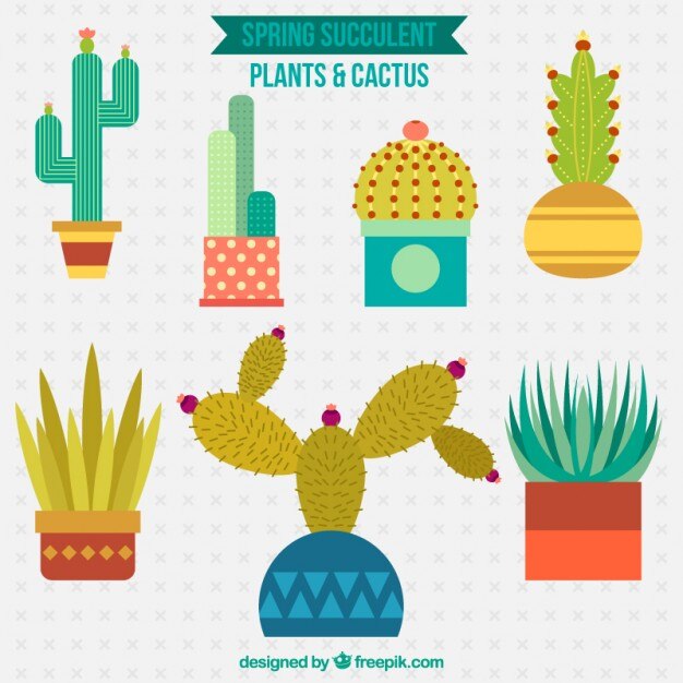 Colección de cactus divertido