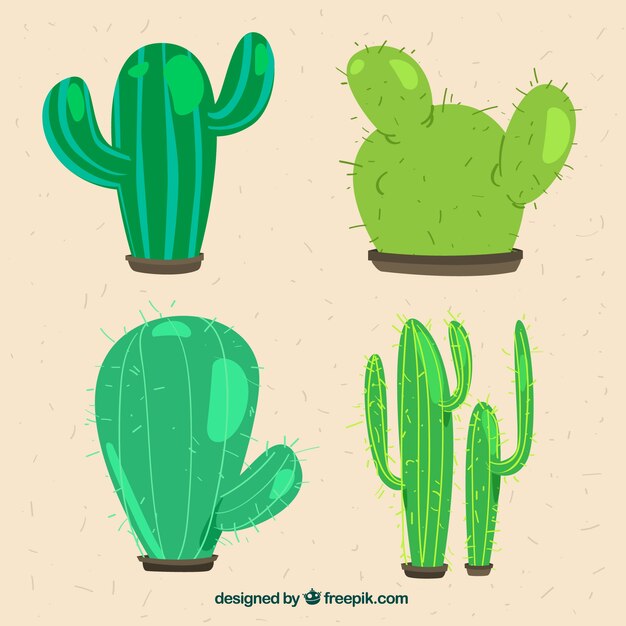 Colección de cactus con estilo divertido