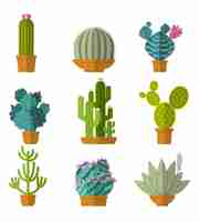 Vector gratuito colección de cactus en estilo plano.