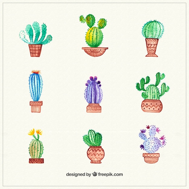 Vector gratuito colección de cactus pintados a mano