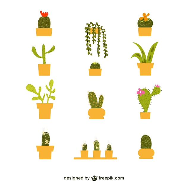 Vector gratuito colección de cactus