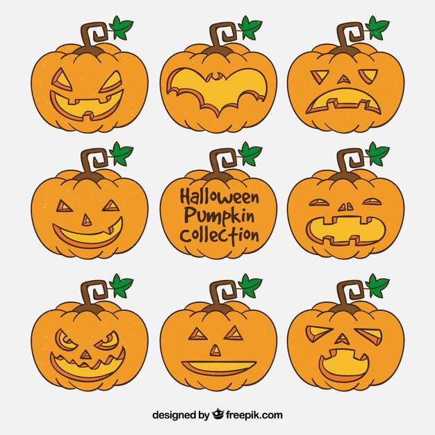 Colección de calabazas dibujadas a mano 
