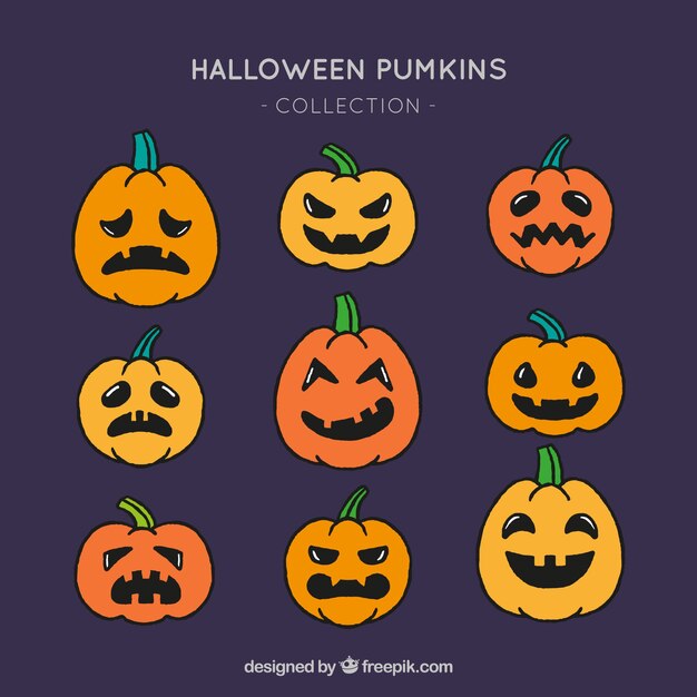Colección de calabazas dibujadas a mano
