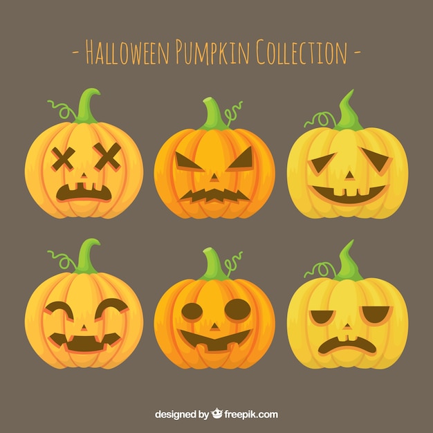 Colección de calabazas de halloween