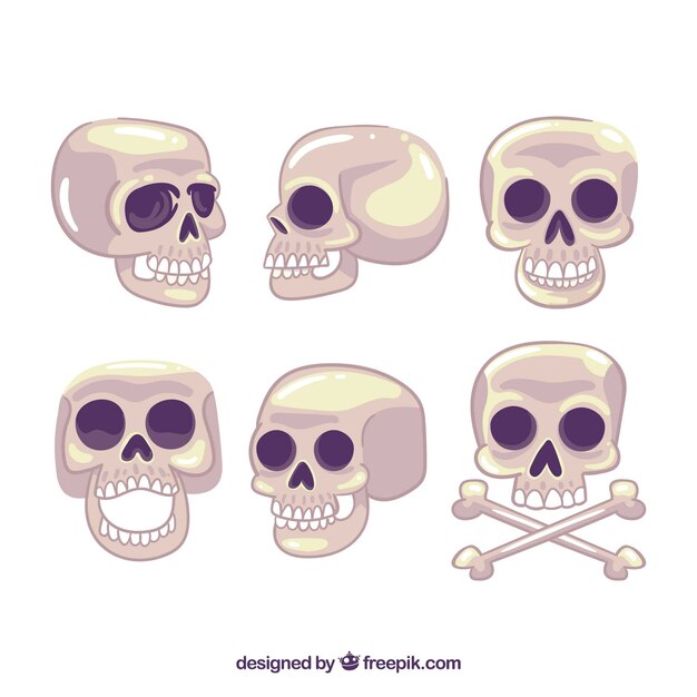 Colección de calaveras en diferentes posiciones