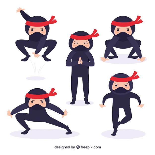 Colección de caracteres de guerrero ninja