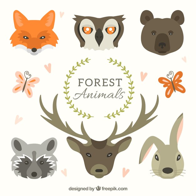 Colección de caras de animales del bosque dibujados a mano 
