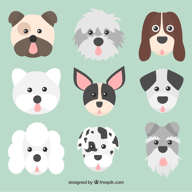 Vector gratuito colección de caras de perros de diferentes razas