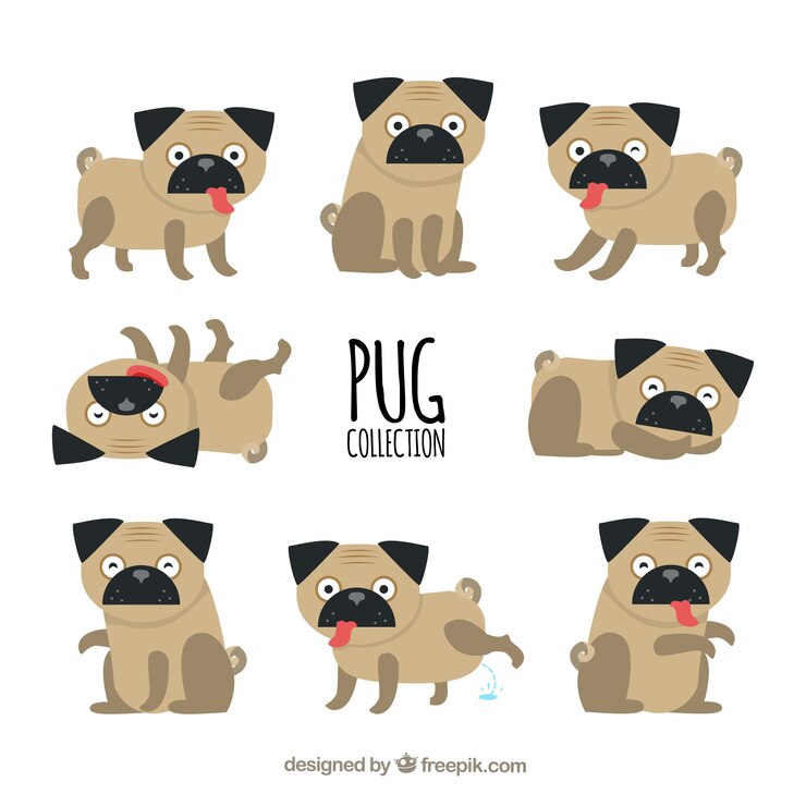 Vector gratuito colección de carlinos con estilo clásico