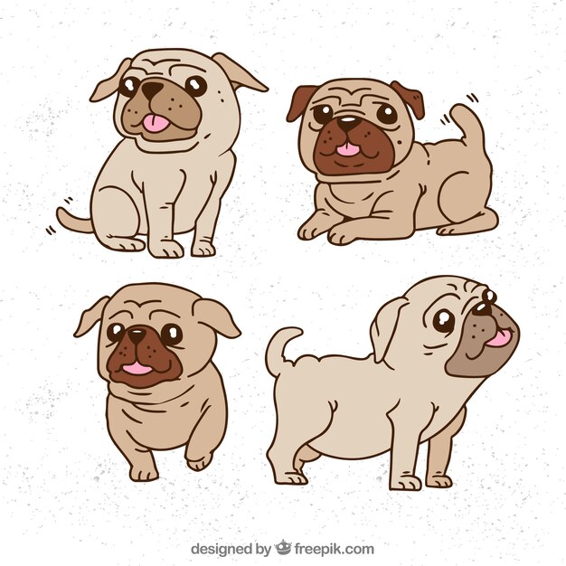 Colección de carlinos con estilo de dibujo a mano