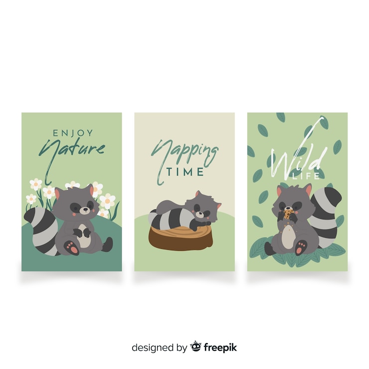 Vector gratuito colección de cartas dibujadas a mano de mapache