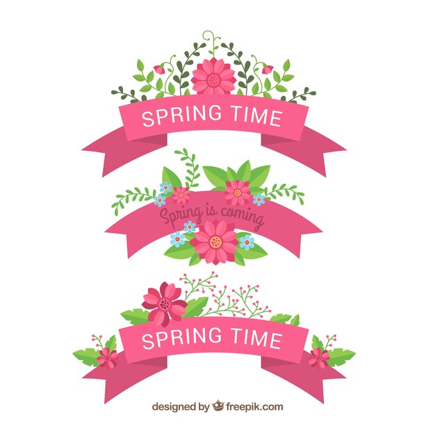 Colección de cintas de primavera