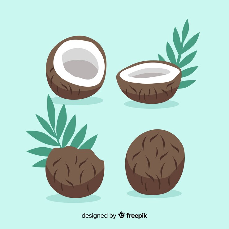Vector gratuito colección cocos dibujados a mano