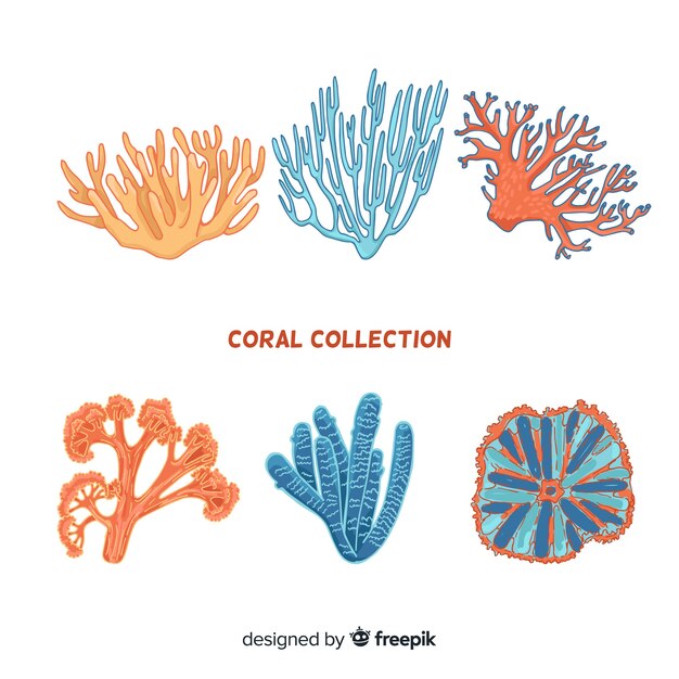Colección colorida coral dibujado a mano