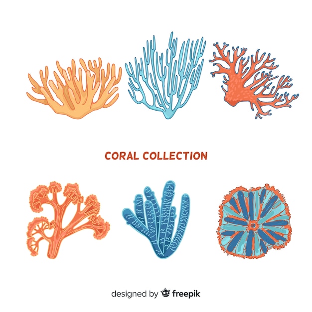 Colección colorida coral dibujado a mano