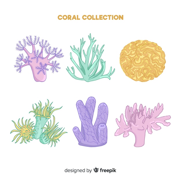 Colección colorida coral dibujado a mano
