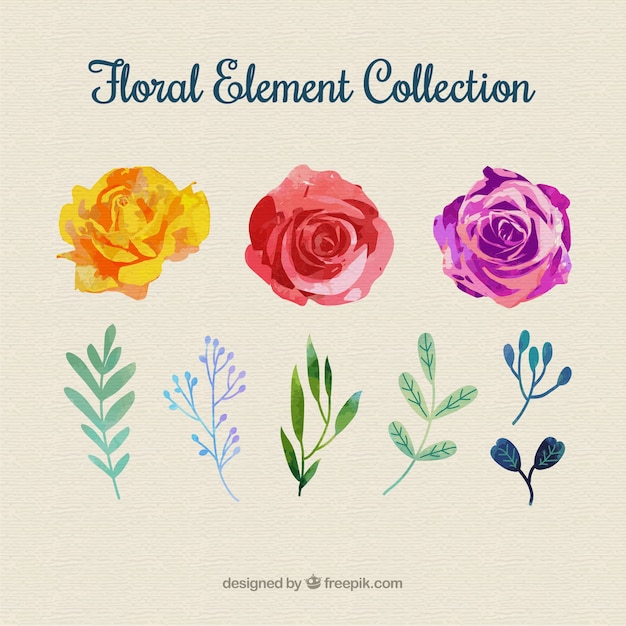 Vector gratuito colección colorida de elementos florales con diseño plano