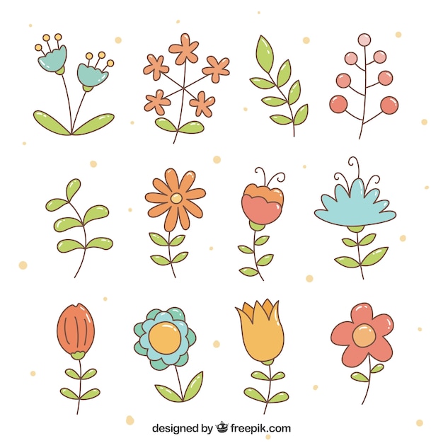 Vector gratuito colección colorida de flores dibujadas a mano