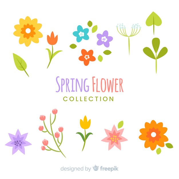 Colección colorida de flores de primavera