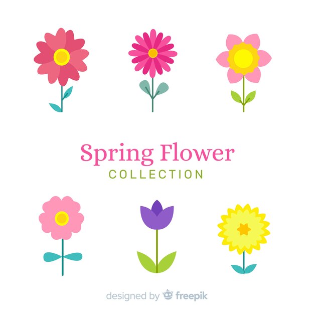 Colección colorida de flores de primavera