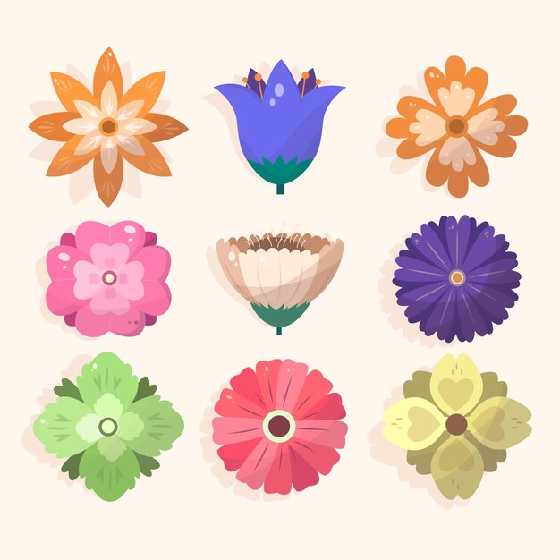 Colección colorida de flores de primavera