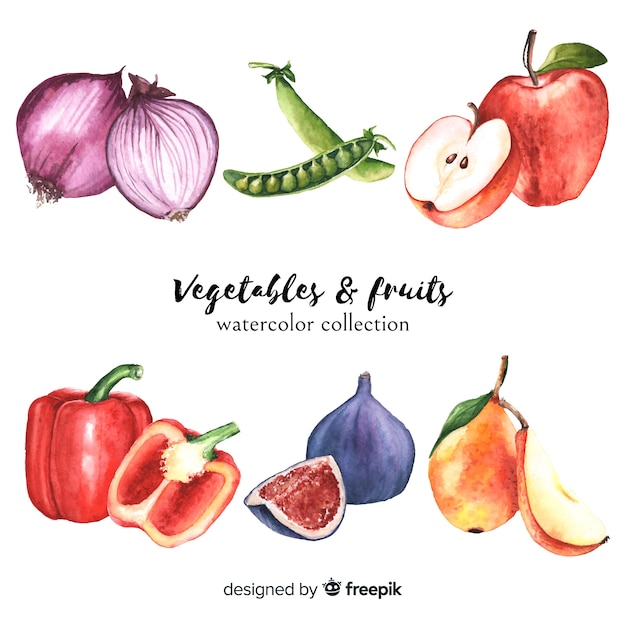 Colección de comida orgánica dibujado a mano 