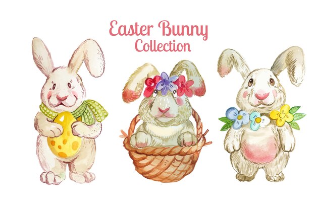 Colección de conejitos de pascua dibujados a mano