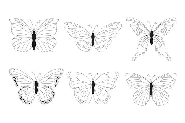 Colección de contornos lineales de mariposa plana