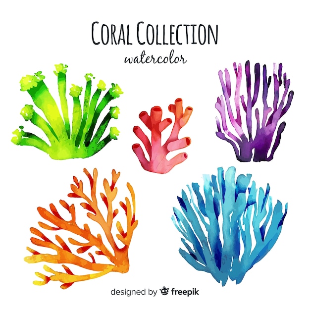 Colección coral acuarela