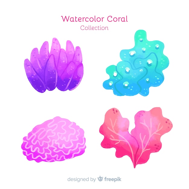 Colección coral acuarela