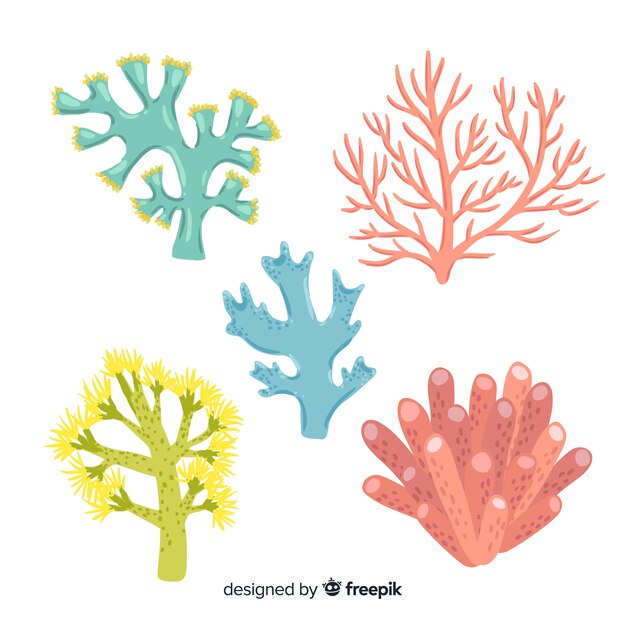 Colección coral dibujada a mano