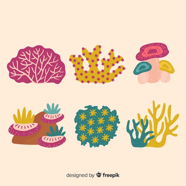 Colección coral dibujada a mano