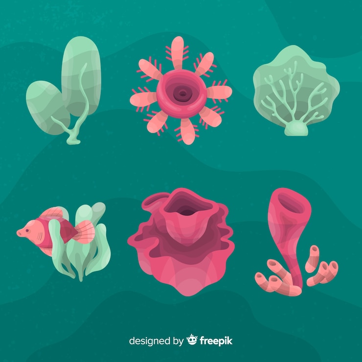 Vector gratuito colección coral dibujada a mano
