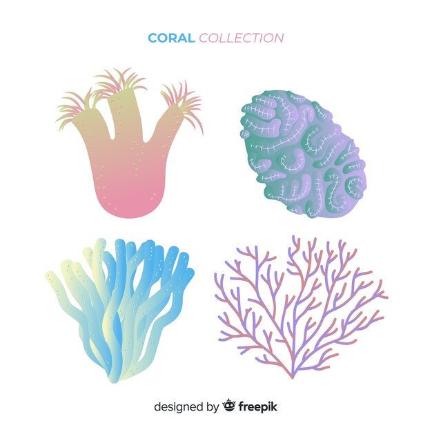 Colección coral dibujada a mano
