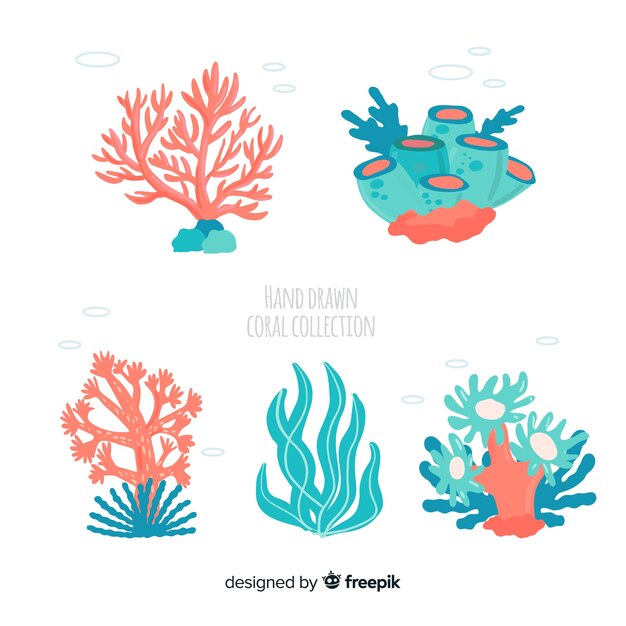 Colección coral dibujada a mano