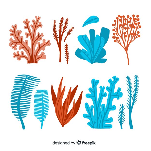 Colección coral dibujada a mano