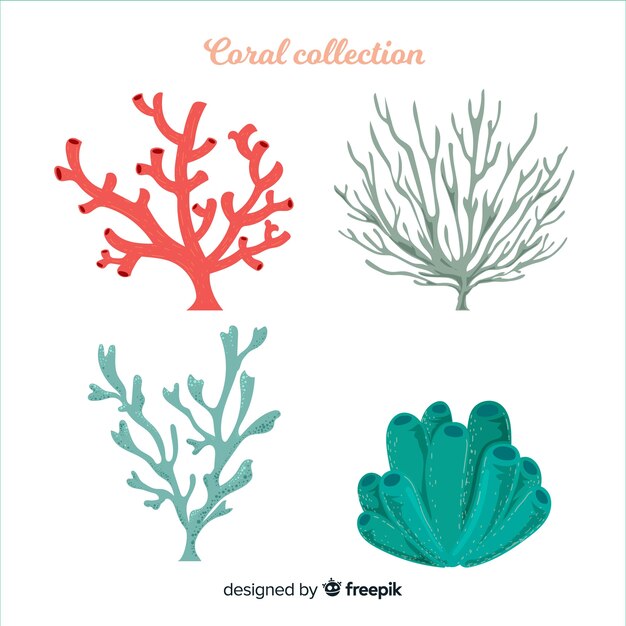 Colección coral dibujada a mano