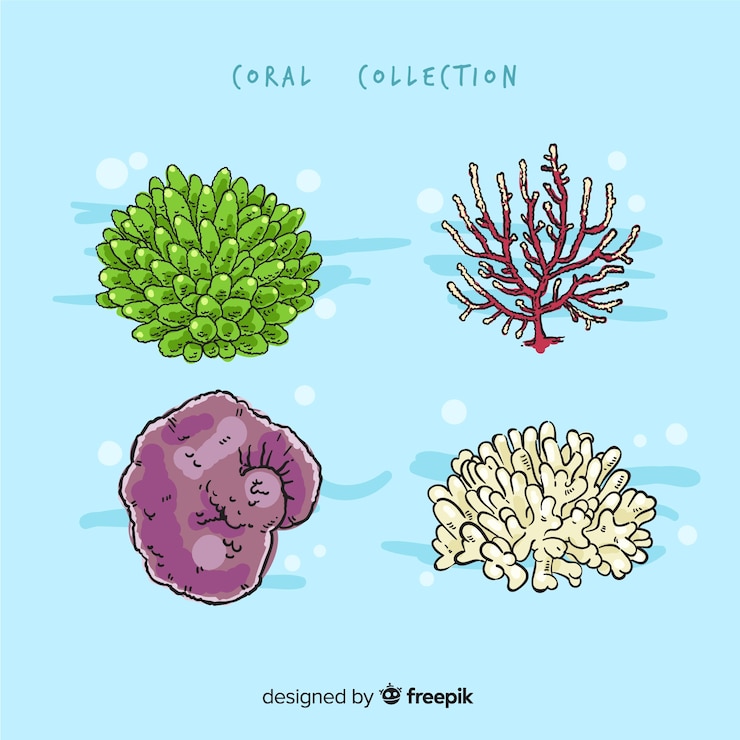 Vector gratuito colección coral dibujada a mano