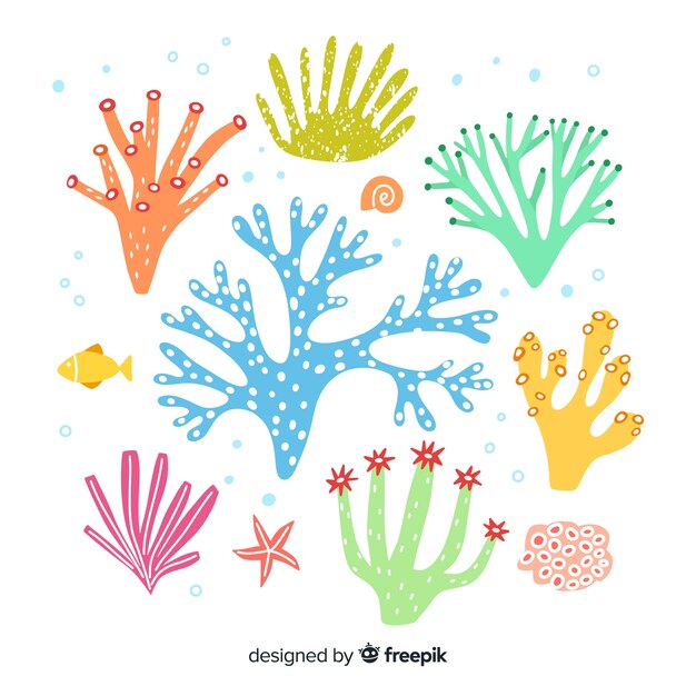 Colección coral dibujado a mano