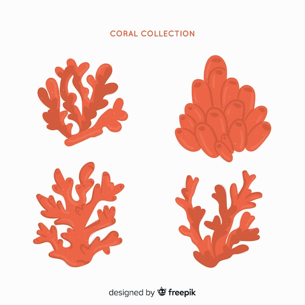 Colección coral dibujado a mano