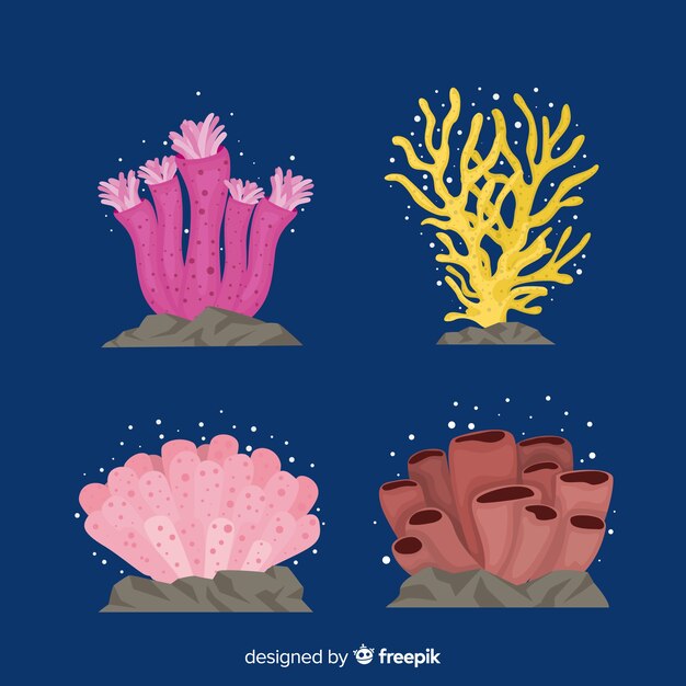 Colección coral dibujado a mano