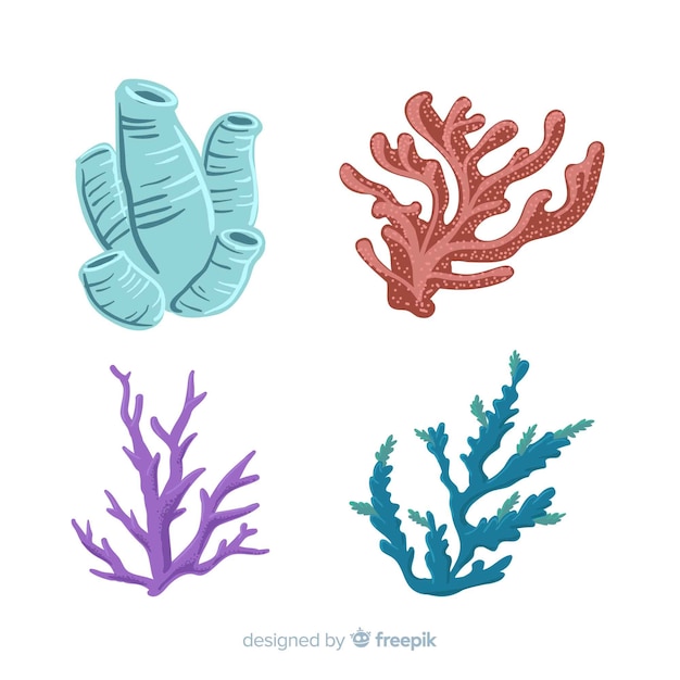 Colección coral dibujado a mano