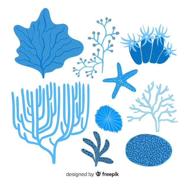 Vector gratuito colección coral dibujado a mano