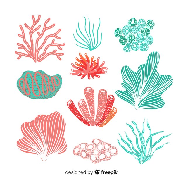Colección coral dibujado a mano